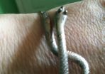 Silver snake bangle very old