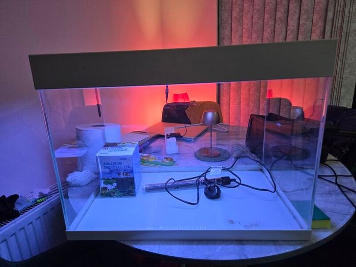 Fish tank