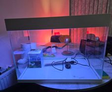 Fish tank