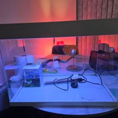 Fish tank