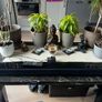 Silvercrest Soundbar SSB 50 A1 Image 2
