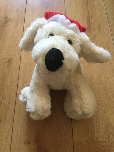 Christmas Teddy Brand New