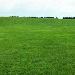 Land to Rent