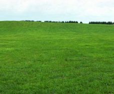 Land to Rent