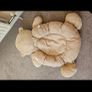 Bear Babymat babyzee Image 3