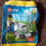 Lego Polybags Image 6