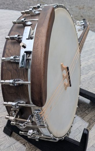 Tenor Banjo - Gold Tone IT17