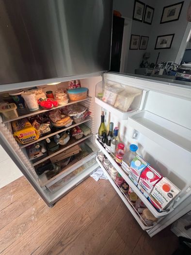 Fisher & Paykel freezer refrigerator (roughly 480 520 L).