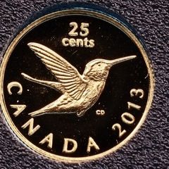 Gold Coin