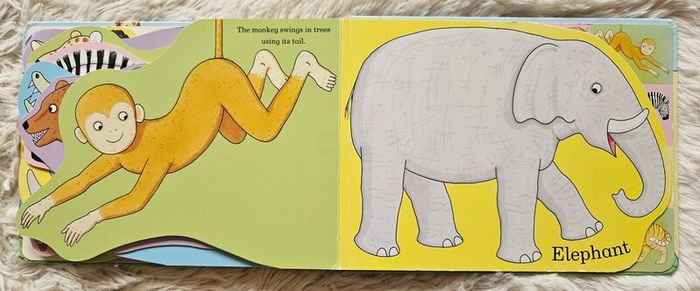 My Zoo by Rod Campbell