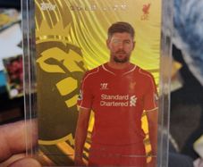 Steven Gerrard
