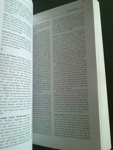 A new dictionary of Irish history from 1800 Ireland