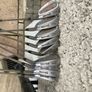 Spalding Golf Clubs Set Image 4