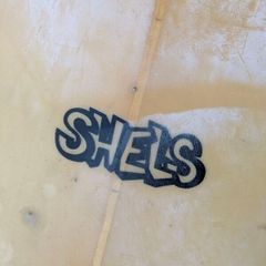 Surfboard Shels 6ft3