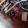 engine Image 2