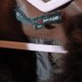 womens jacket Image 3