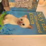 sky the unwanted kitten book Image 3