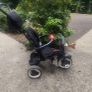 Rito baby trike Image 3
