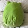 Squishmallow - Wendy the Frog Image 3