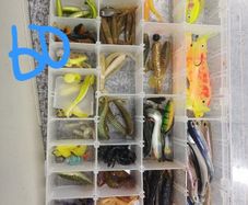 fishing lures