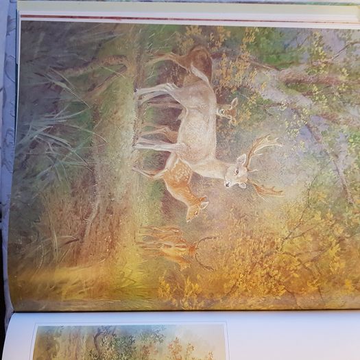 Beningfields Woodlands. Beautiful paintings by Gordan Beningfield of woodland and it birds and animals.