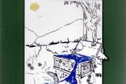 Daisychains &amp; Trout - Recollections Of A Childhood At Home In Cork And Away