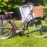 Ladies Bicycle Image 4