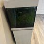 Fish tank Image 4