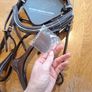 bridle Image 3