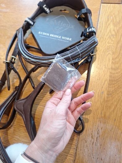 bridle