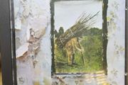 Led Zeppelin 4 CD