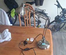 lamp