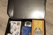 Fallout 4 - Rare Gift Box