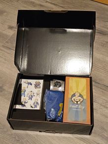 Fallout 4 - Rare Gift Box