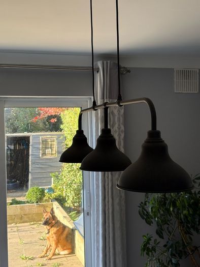 Ceiling light