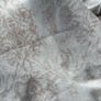 20 metre roll of blue/grey velvet with distressed French print in antique taupe upholstery fabric. Image 8