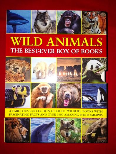 New Wild Animals Box of 8 Books