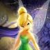 Daisy26