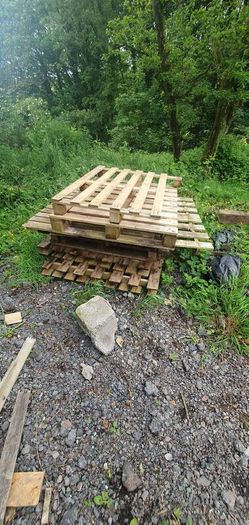 scrap wood/fire wood + pallets