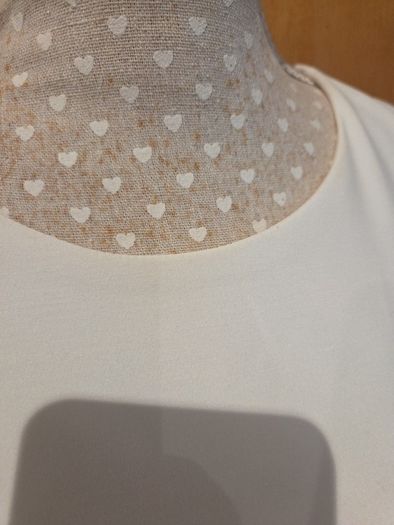 Zara bnwot dress uk10