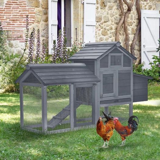 Small Chicken Coop with Run & Nesting Box
