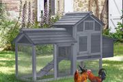 Small Chicken Coop with Run &amp; Nesting Box