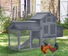 Small Chicken Coop with Run & Nesting Box