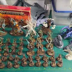 Age of Sigmar Sylvaneth Army