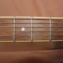 Washburn D10SCE Cutaway Acoustic Guitar Image 7