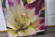 Canvas picture 50 cm / 50 cm