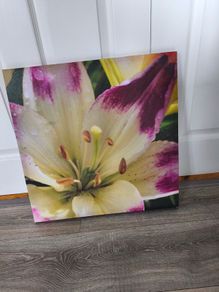 Canvas picture 50 cm / 50 cm