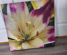 Canvas picture 50 cm / 50 cm