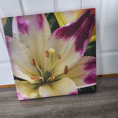 Canvas picture 50 cm / 50 cm