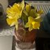 newuser2016